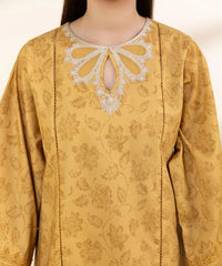 2 Piece - Embroidered Lawn Suit